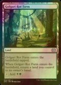 [FOIL] Golgari Rot Farm 【ENG】 [2X2-Land-U]