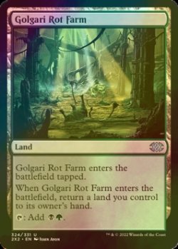 Photo1: [FOIL] Golgari Rot Farm 【ENG】 [2X2-Land-U]