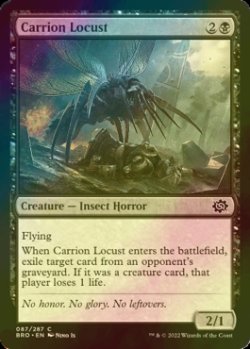 Photo1: [FOIL] Carrion Locust 【ENG】 [BRO-Black-C]