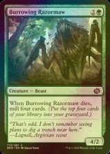 [FOIL] Burrowing Razormaw 【ENG】 [BRO-Green-C]