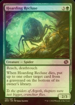 Photo1: [FOIL] Hoarding Recluse 【ENG】 [BRO-Green-C]