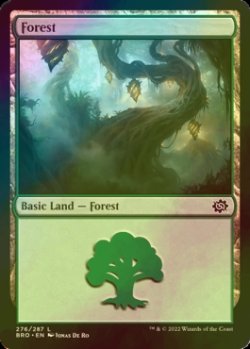 Photo1: [FOIL] Forest No.276 【ENG】 [BRO-Land-C]