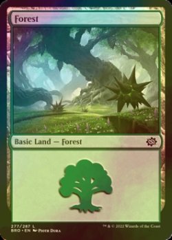 Photo1: [FOIL] Forest No.277 【ENG】 [BRO-Land-C]