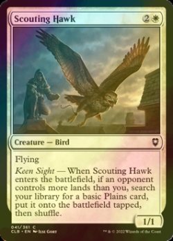 Photo1: [FOIL] Scouting Hawk 【ENG】 [CLB-White-C]