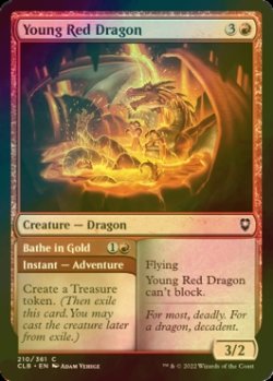 Photo1: [FOIL] Young Red Dragon 【ENG】 [CLB-Red-C]