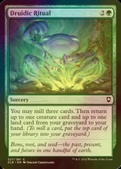 Photo1: [FOIL] Druidic Ritual 【ENG】 [CLB-Green-C]