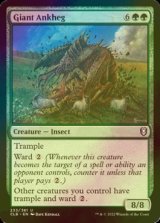 [FOIL] Giant Ankheg 【ENG】 [CLB-Green-U]