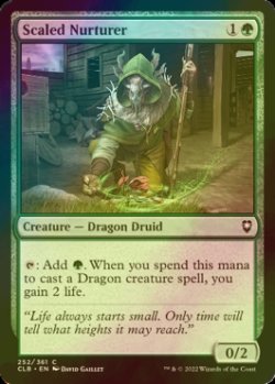 Photo1: [FOIL] Scaled Nurturer 【ENG】 [CLB-Green-C]