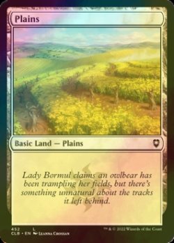 Photo1: [FOIL] Plains No.452 【ENG】 [CLB-Land-C]