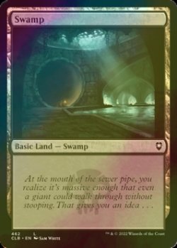 Photo1: [FOIL] Swamp No.462 【ENG】 [CLB-Land-C]