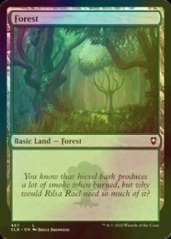 Photo1: [FOIL] Forest No.467 【ENG】 [CLB-Land-C]