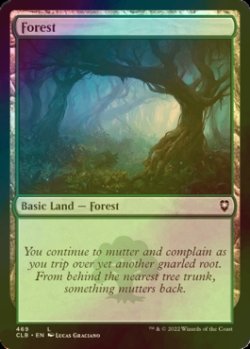 Photo1: [FOIL] Forest No.469 【ENG】 [CLB-Land-C]