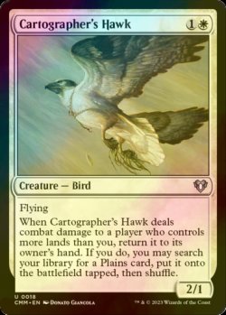 Photo1: [FOIL] Cartographer's Hawk 【ENG】 [CMM-White-U]