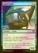 [FOIL] Loyal Drake 【ENG】 [CMM-Blue-U]