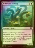 [FOIL] Wildwood Scourge 【ENG】 [CMM-Green-U]