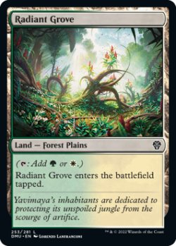 Photo1: Radiant Grove 【ENG】 [DMU-Land-C]