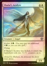 [FOIL] Shalai's Acolyte 【ENG】 [DMU-White-U]