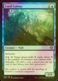 [FOIL] Coral Colony 【ENG】 [DMU-Blue-U]