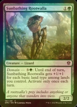 Photo1: [FOIL] Sunbathing Rootwalla 【ENG】 [DMU-Green-C]