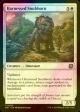 [FOIL] Harnessed Snubhorn 【ENG】 [MAT-White-U]