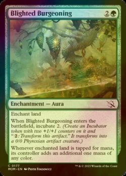 Photo1: [FOIL] Blighted Burgeoning 【ENG】 [MOM-Green-C]