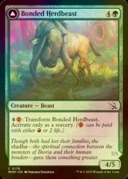 Photo1: [FOIL] Bonded Herdbeast 【ENG】 [MOM-Green-C]