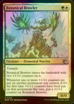 Photo1: [FOIL] Botanical Brawler 【ENG】 [MOM-Multi-U]