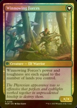 Photo3: [FOIL] Invasion of Lorwyn 【ENG】 [MOM-Multi-U]