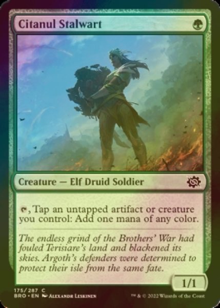 Photo1: [FOIL] Citanul Stalwart 【ENG】 [BRO-Green-C] (1)