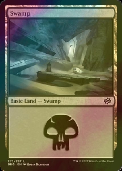 Photo1: [FOIL] Swamp No.273 【ENG】 [BRO-Land-C] (1)