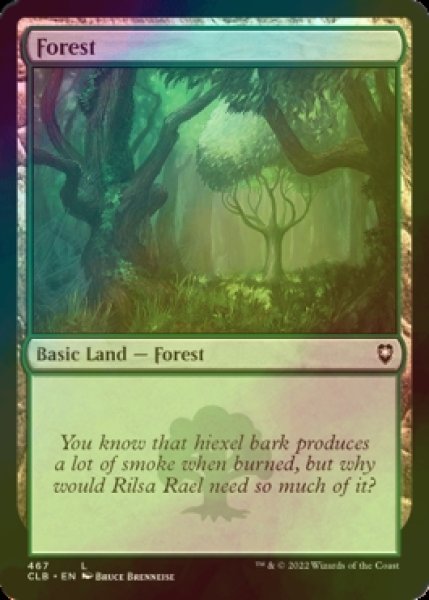 Photo1: [FOIL] Forest No.467 【ENG】 [CLB-Land-C] (1)