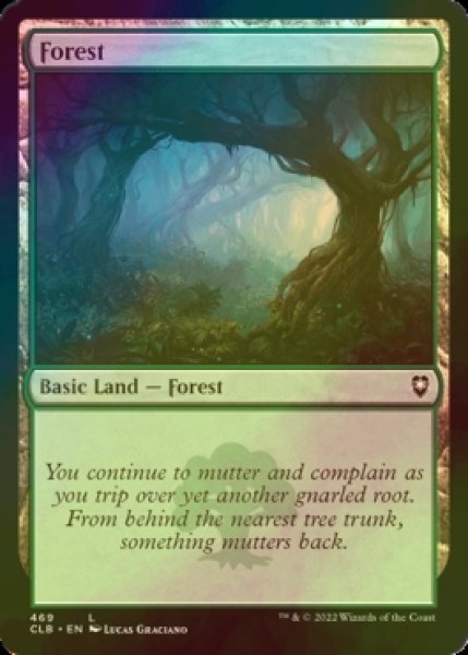 Photo1: [FOIL] Forest No.469 【ENG】 [CLB-Land-C] (1)