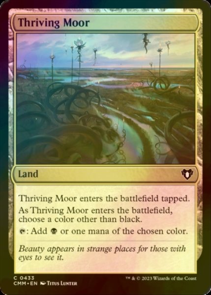 Photo1: [FOIL] Thriving Moor 【ENG】 [CMM-Land-C] (1)