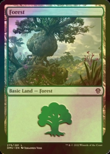 Photo1: [FOIL] Forest No.275 【ENG】 [DMU-Land-C] (1)