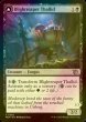 Photo1: [FOIL] Blightreaper Thallid 【ENG】 [MOM-Black-U] (1)